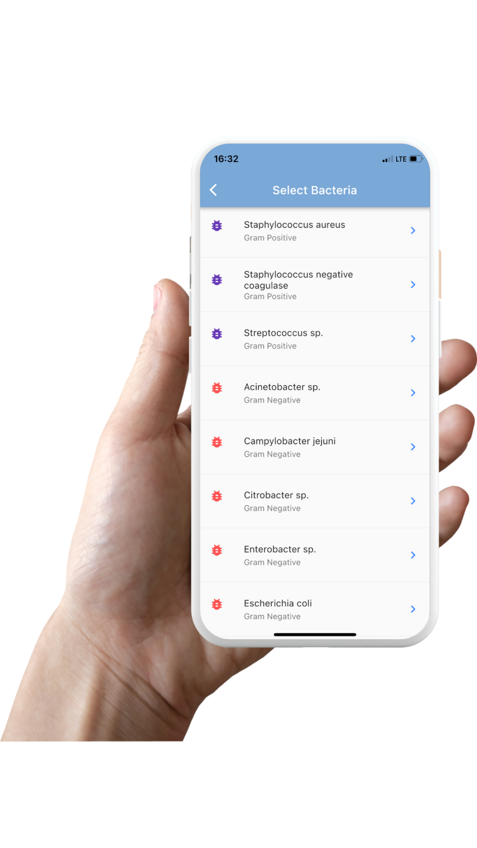Antibiogram Reading Antibiogram Reading